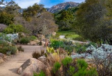 Biodiversity Is Our Common Ground