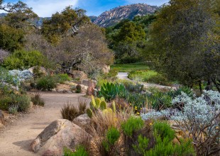 Biodiversity Is Our Common Ground