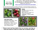 Fall Plant Sale and Master Gardener Workshop