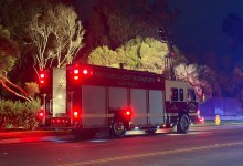 New Details in Chase Palm Park Homicide 