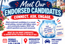 DemWomenSB | Meet our Endorsed Candidates
