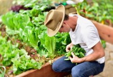Goodland Gardens Is Rethinking the Backyard