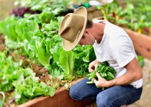 Goodland Gardens Is Rethinking the Backyard