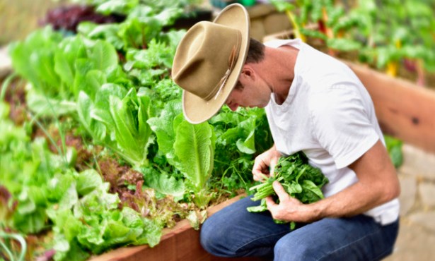 Goodland Gardens Is Rethinking the Backyard