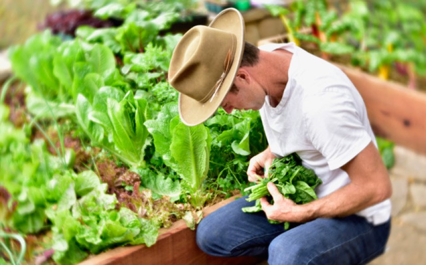 Goodland Gardens Is Rethinking the Backyard