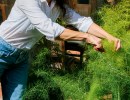 Know Thy Farmer Lunch with Lompoc Bean Co. at Pico