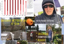 Prepping Your Garden for El Niño
