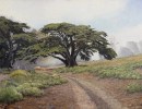 A Win For Plein-Air Art in Santa Barbara