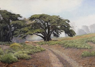 A Win For Plein-Air Art in Santa Barbara