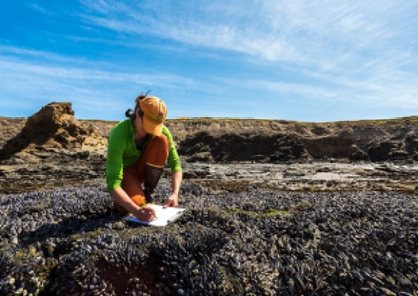 Santa Barbara Maritime Museum Welcomes Dr. Conner Philson for October Maritime Distinguished Speaker Series