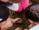 Pathfinders: Super Seeds