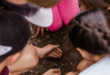 Pathfinders: Super Seeds
