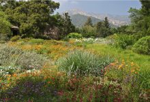 Free Community Day at S.B. Botanic Garden