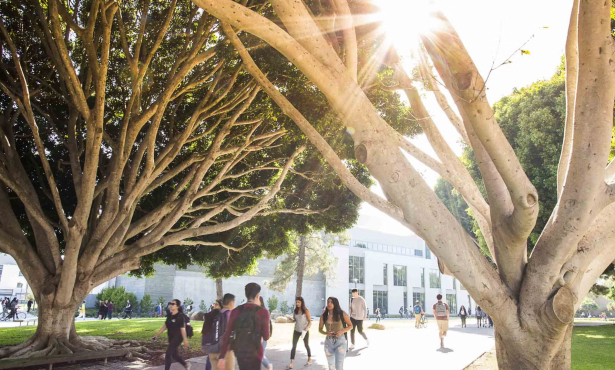 New Fund at UC Santa Barbara Supports Student Projects Connecting Indigenous Studies and Environmental Action
