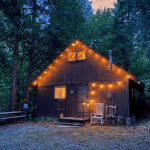 The Home Page | A Little Cabin Fever