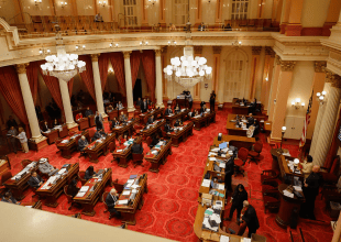 How a Santa Barbara County Gym, a Farmers Market, and MMA Fighters Landed Millions in Newsom’s Last Budget