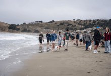 How Airbnb Is Fighting for Its Place on California’s Coast
