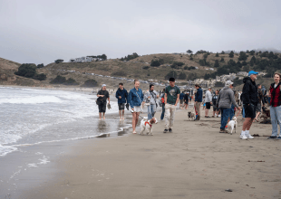 How Airbnb Is Fighting for Its Place on California’s Coast