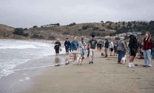 How Airbnb Is Fighting for Its Place on California’s Coast