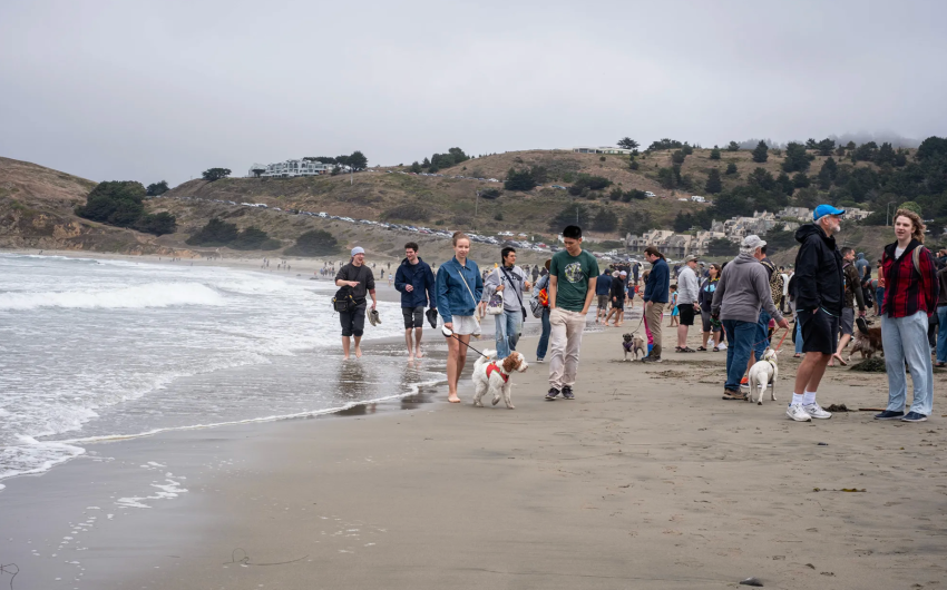 How Airbnb Is Fighting for Its Place on California’s Coast