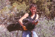 Wild Work: Adventures of Women Field Biologists