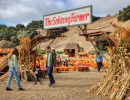 The Solvang Farmer Pumpkin Patch