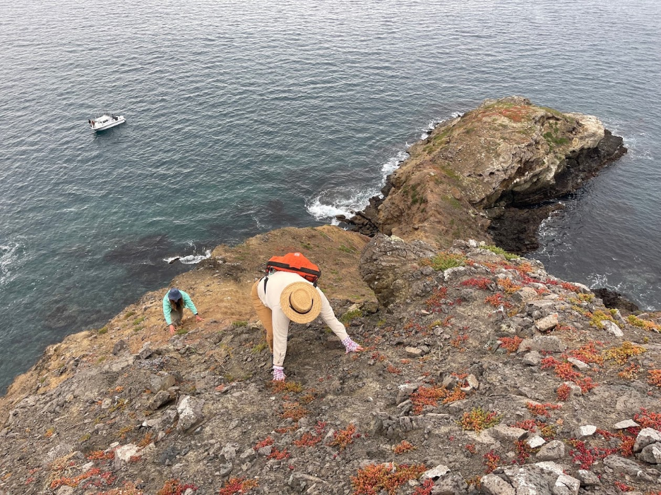Exploring Off-Trail on the Channel Islands