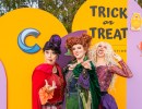 Candy Crawl at the Collection