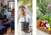 A Cool Fall Home & Garden