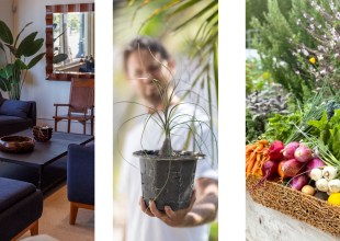 A Cool Fall Home & Garden
