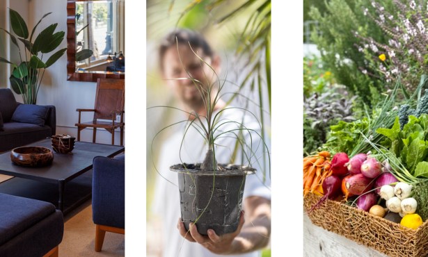 A Cool Fall Home & Garden