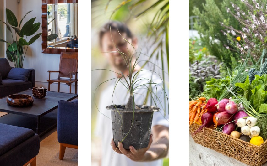 A Cool Fall Home & Garden