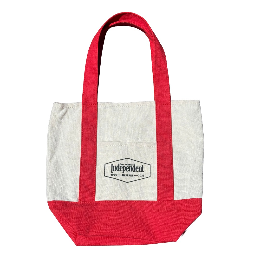 Indy Mini Tote Bag