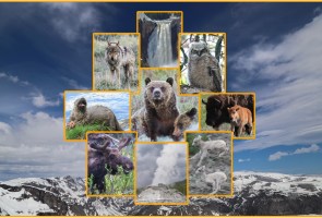 “Nature’s Mosaic: Yellowstone” Discussion with Russ Lewin and Gerry Lewin