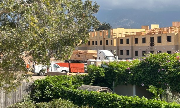 Noleta Is Doing Its Fair Share