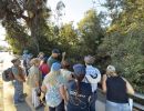 San Jose Creek Walking Tour 