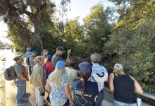 San Jose Creek Walking Tour 