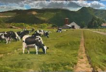 Local Artist Connects New Buellton Library to the Past and Future