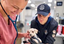 C.A.R.E.4Paws Urges Preventive Care for Central Coast Pets