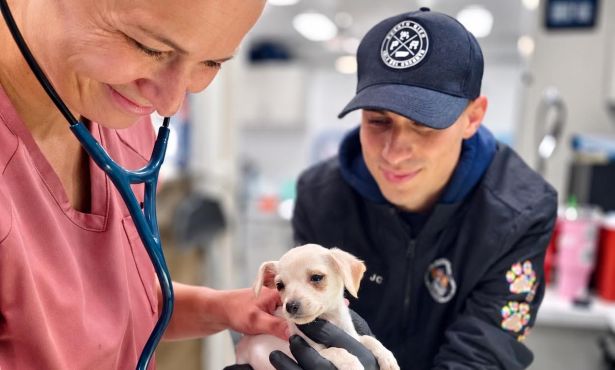 C.A.R.E.4Paws Urges Preventive Care for Central Coast Pets