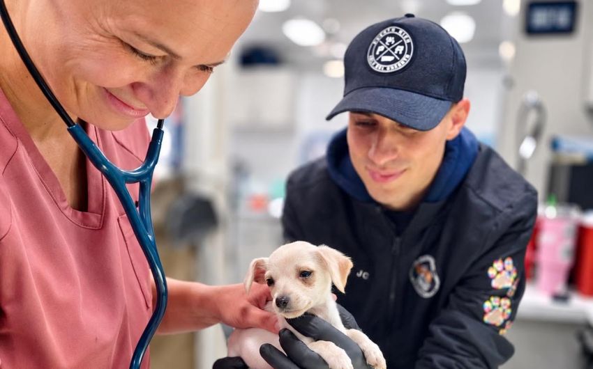C.A.R.E.4Paws Urges Preventive Care for Central Coast Pets