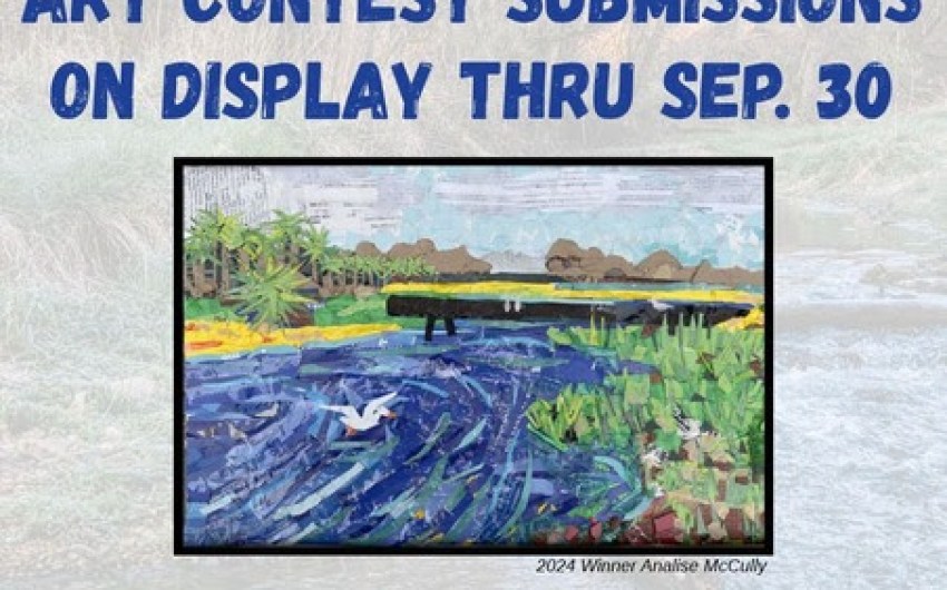 Creek Week Art Contest Submissions on Display Now