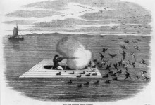 Feather Wars: The Crusade to Save America’s Birds
