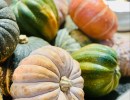 Finch & Fork: Thanksgiving Harvest Buffet