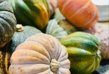 Finch & Fork: Thanksgiving Harvest Buffet