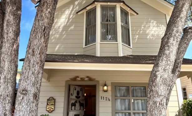 The Home Page | Pups, Pianos, and Homes to Peruse