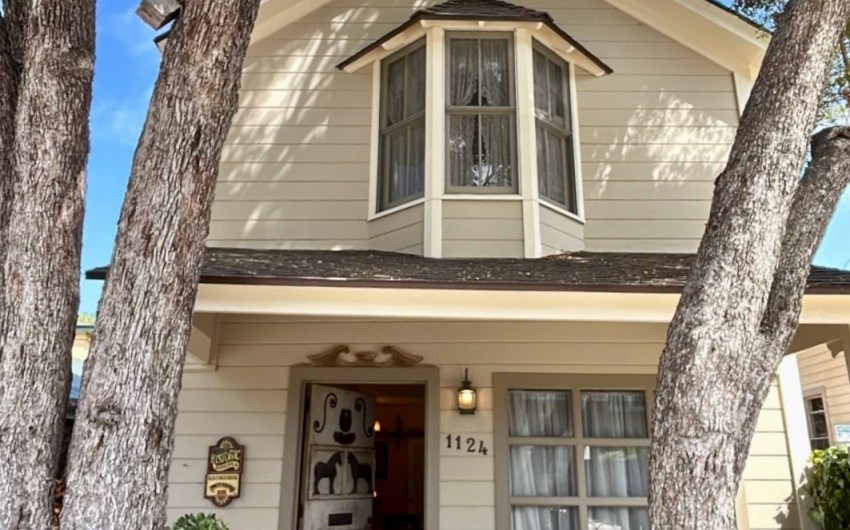 The Home Page | Pups, Pianos, and Homes to Peruse