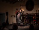 Flamenco Íntimo Concert