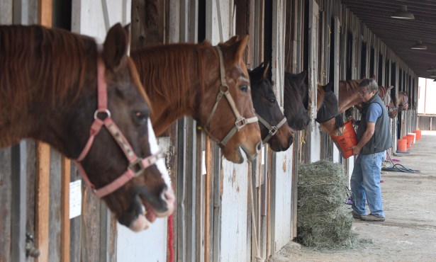 Equine Evac and Earl Warren Showgrounds Reach a Rental Agreement