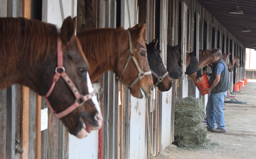 Equine Evac and Earl Warren Showgrounds Reach a Rental Agreement